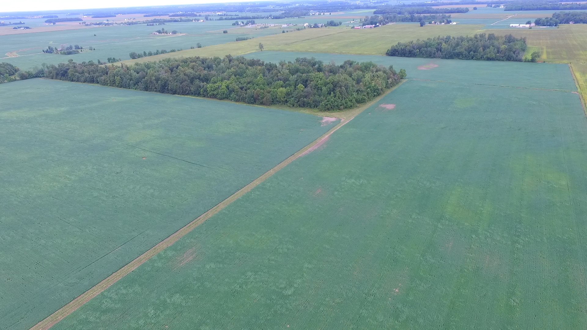 A drone view of one of the properties managed by Halderman